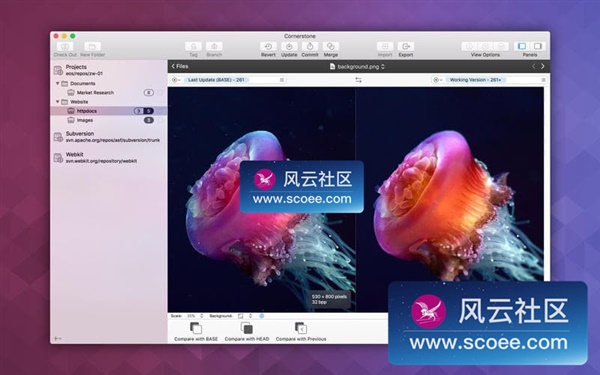 Download Download
